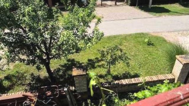 Kuća, Petosoban, Prodaja, 244m2, Čenej, Novi Sad, Žarka Zrenjanina