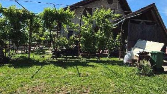 Kuća, Petosoban, Prodaja, 244m2, Čenej, Novi Sad, Žarka Zrenjanina