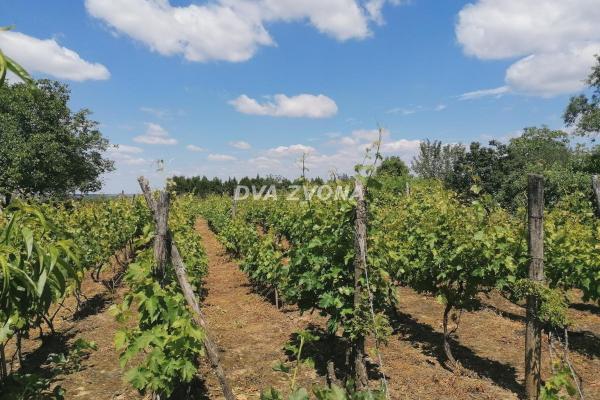 prodaja, kuca,
novi-slankamen-opstina-indjija, 896560, dvosoban