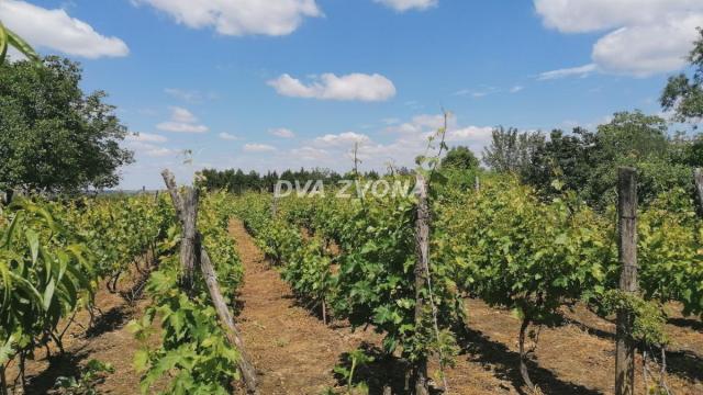 Kuća, Dvosoban, Prodaja, 26m2, Novi Slankamen, Okolno mesto, Indjija