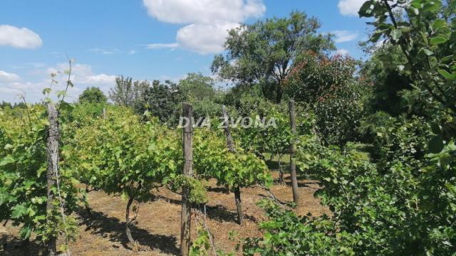 Kuća, Dvosoban, Prodaja, 26m2, Novi Slankamen, Okolno mesto, Indjija