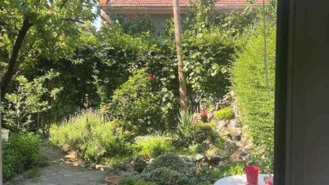Kuća, Prodaja, 300m2, Golf, Čukarica, Blagoja Parovića