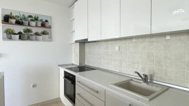 Stan, Dvosoban, Izdavanje, 66m2, Altina, Zemun, Slobodana Đurića