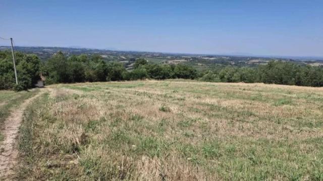 Plac, Prodaja, m2, Baničina, Okolno mesto, Banicina