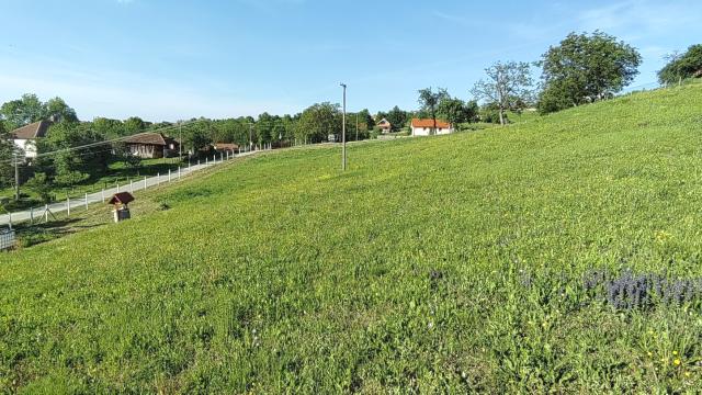 Plac, Prodaja, m2, Jabučje, Pivara, Kulizanska