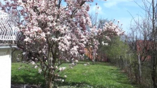 Kuća, Prodaja, 92m2, Vrčin, Grocka, Prizrenska