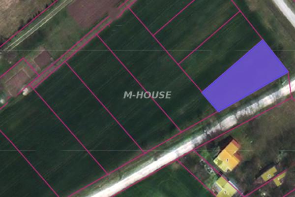 prodaja, plac,
prnjavor-opstina-trstenik, 900593, plac