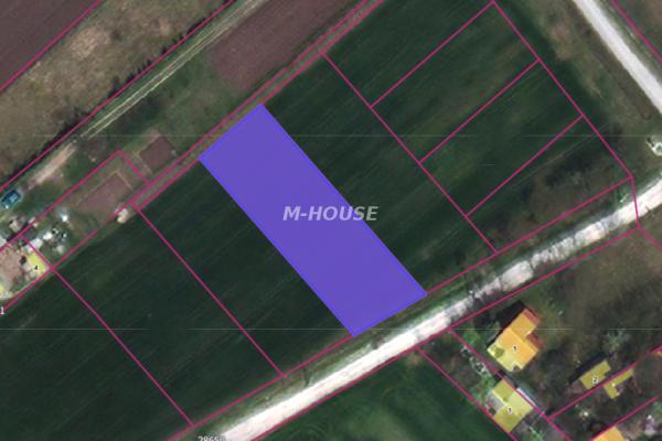 prodaja, plac,
prnjavor-opstina-trstenik, 900594, plac