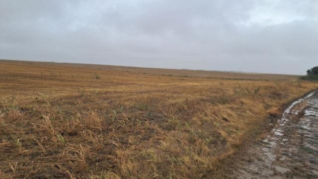 Plac, Prodaja, m2, Neradin, Okolno mesto, Branka Radicevica