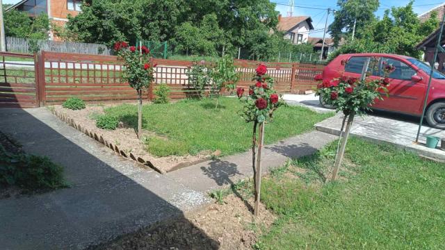 Kuća, Trosoban, Prodaja, 150m2, Kusadak, Okolno mesto, Kusadak
