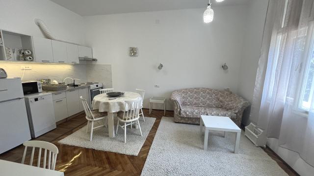Stan, Dvoiposoban, Izdavanje, 60m2, Cvijićeva