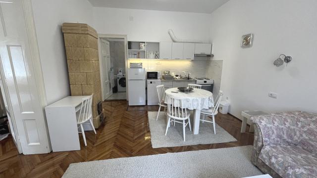 Stan, Dvoiposoban, Izdavanje, 60m2, Cvijićeva