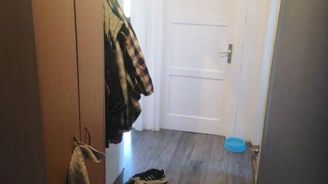Stan, Dvosoban, Izdavanje, 47m2, Patrisa Lumumbe