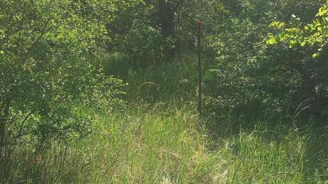 Plac, Prodaja, m2, Devojački Bunar, Okolno mesto, Nova Beogradska