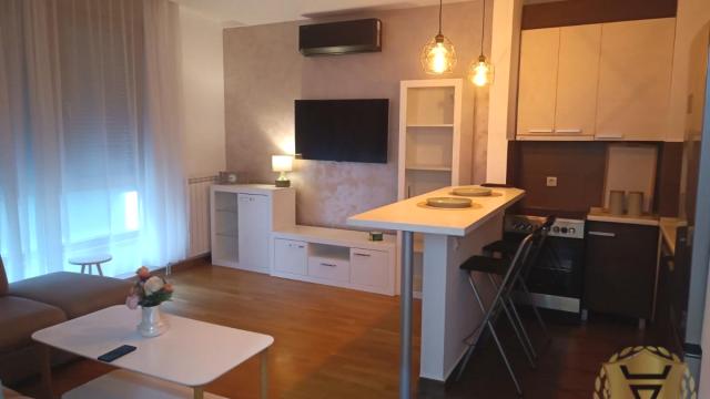 Stan, Dvosoban, Izdavanje, 55m2, Dedinje, Savski venac, Veljka Lukica Kurjaka
