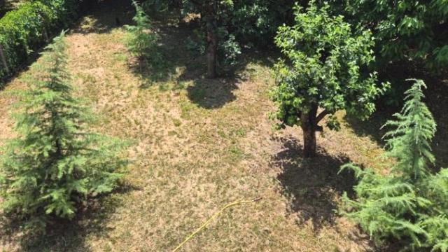 Kuća, Petosoban, Izdavanje, 220m2, Plavi horizonti, Zemun, Isidora Stojanovića