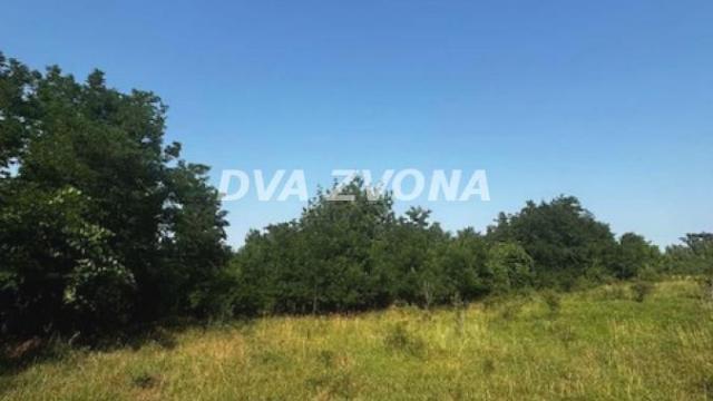 Plac, Prodaja, m2, Čortanovci, Okolno mesto, Indjija