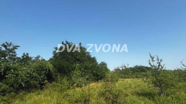 Plac, Prodaja, m2, Čortanovci, Okolno mesto, Indjija