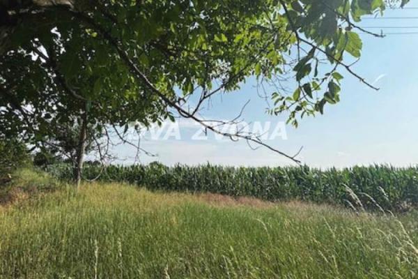 prodaja, plac,
cortanovci-opstina-indjija, 903079, plac