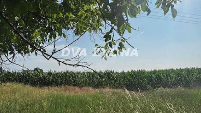 Plac, Prodaja, m2, Čortanovci, Okolno mesto, Indjija