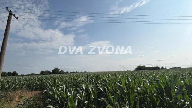 Plac, Prodaja, m2, Čortanovci, Okolno mesto, Indjija