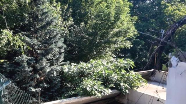 Stan, Dvosoban, Prodaja, 55m2, Banjica, Voždovac, Bulevar oslobođenja