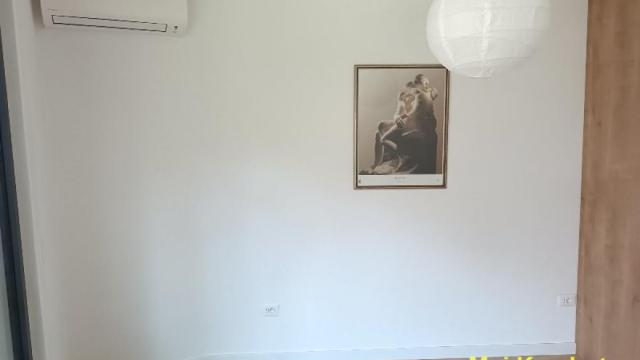 Stan, Trosoban, Izdavanje, 67m2, Dorćol, Stari grad, Dunavska