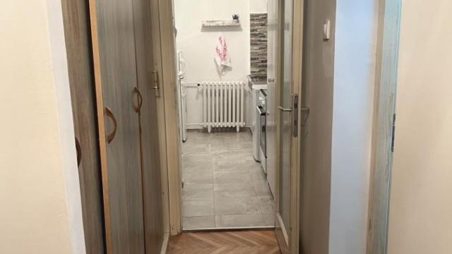 Stan, Dvosoban, Izdavanje, 50m2, Galenika, Zemun, Milice Šuvaković