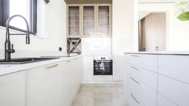 Kuća, Petosoban, Izdavanje, 265m2, Mihaila Avramovića