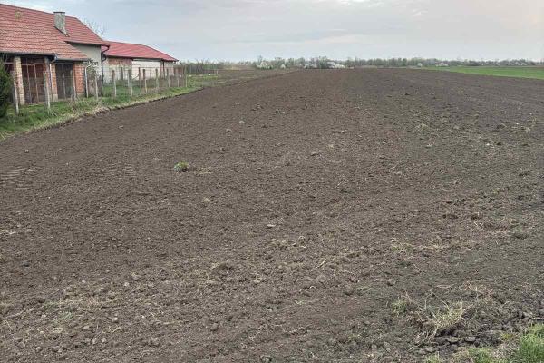 prodaja, plac,
vrbas, 905498, vrbas