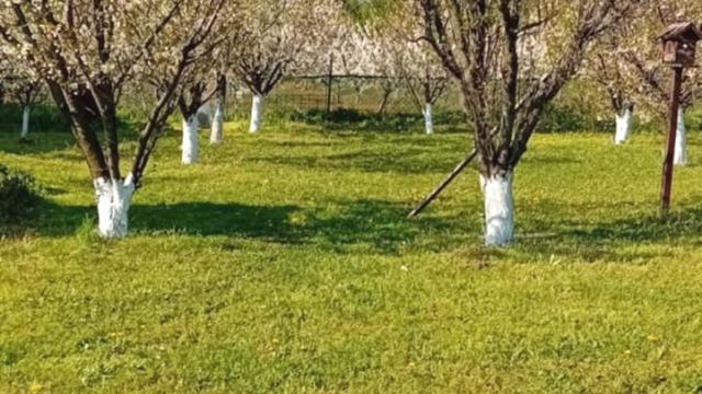 Kuća, Petosoban i veći, Prodaja, 184m2, Vojvodjanska 5
