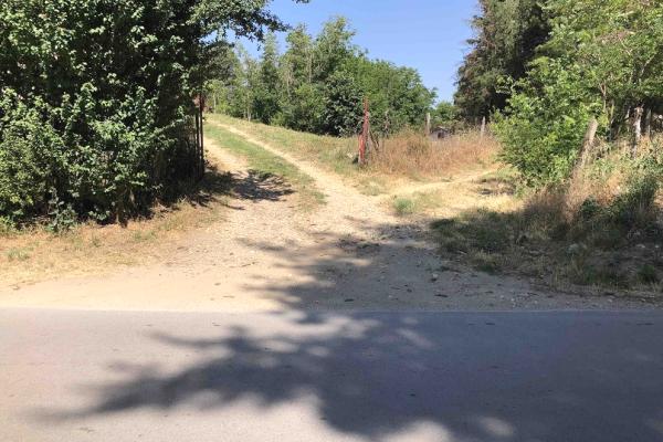 prodaja, plac,
usije-opstina-golubac, 906119, cara-dusana