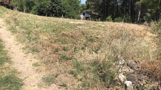 Plac, Prodaja, m2, Usije, Okolno mesto, Cara Dusana