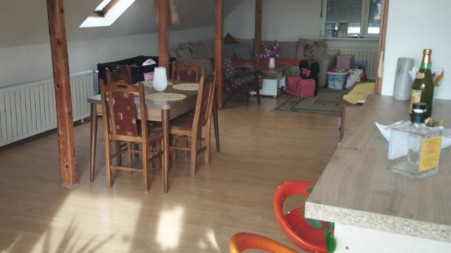 Kuća, Petosoban i veći, Prodaja, 363m2, Nikole Momcilovica