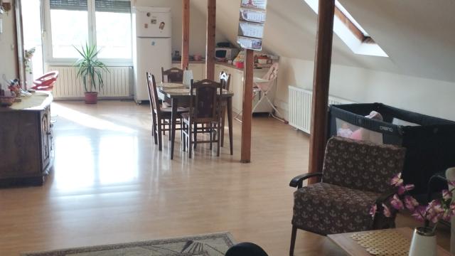 Kuća, Petosoban i veći, Prodaja, 363m2, Nikole Momcilovica