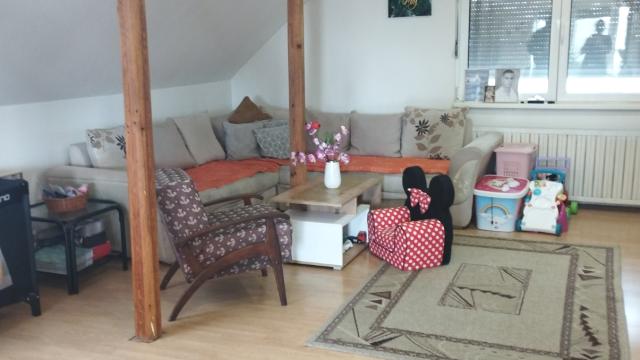 Kuća, Petosoban i veći, Prodaja, 363m2, Nikole Momcilovica