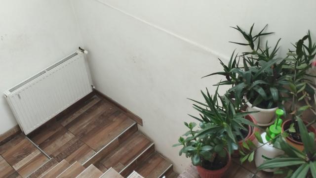 Kuća, Petosoban i veći, Prodaja, 363m2, Nikole Momcilovica