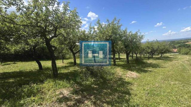Kuća, Prodaja, 60m2, Jagodina