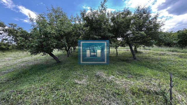 Kuća, Prodaja, 60m2, Jagodina