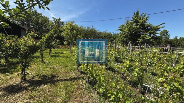 Plac, Prodaja, m2, Djurdjevo brdo, Gradska lokacija, Jagodina