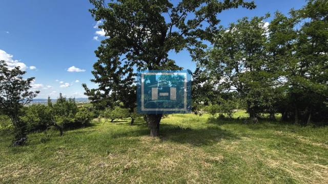 Kuća, Prodaja, 60m2, Majur, Okolno mesto, Jagodina