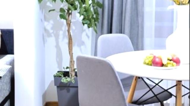 Stan, Dvosoban, Izdavanje, 48m2, Blok 67 (Belvil), Novi Beograd, Jurija Gagarina