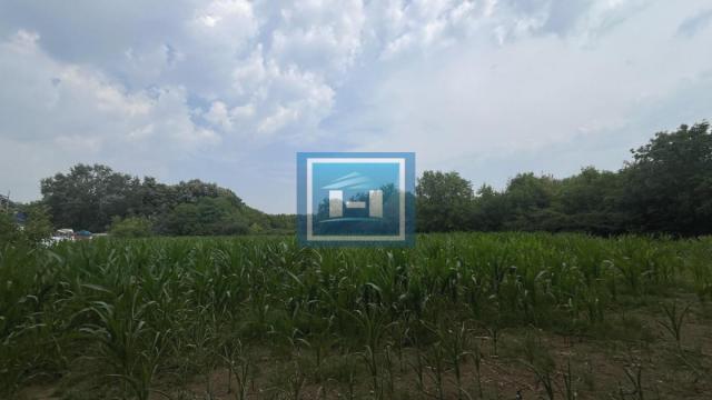 Plac, Prodaja, 28m2, Jagodina