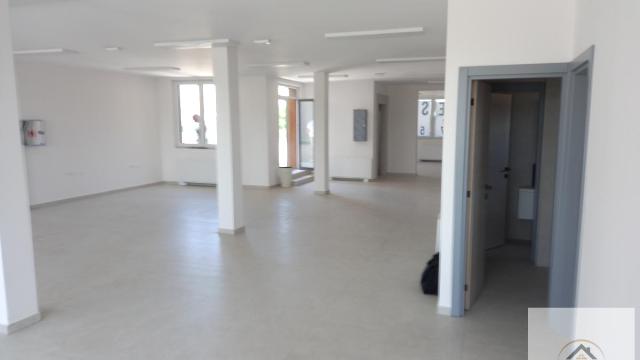 Poslovni prostor, Petosoban, Izdavanje, 250m2, Veternik, Novi Sad, Novi Sad