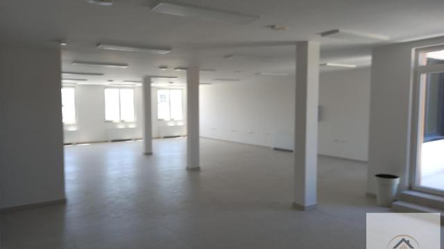 Poslovni prostor, Petosoban, Izdavanje, 250m2, Veternik, Novi Sad, Novi Sad