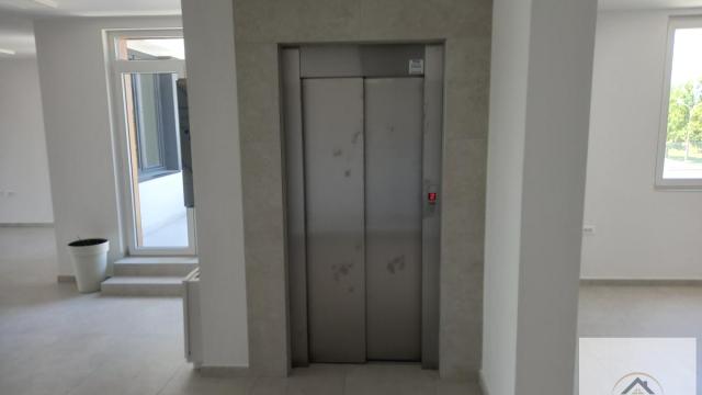 Poslovni prostor, Petosoban, Izdavanje, 250m2, Veternik, Novi Sad, Novi Sad