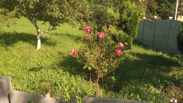 Kuća, Trosoban, Prodaja, 60m2, Mala Moštanica, Obrenovac, Visoka
