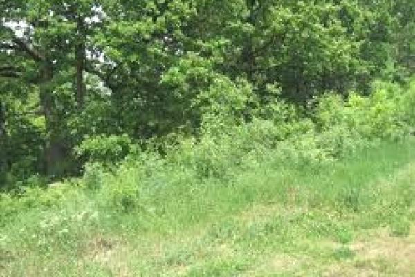 prodaja, plac,
cukarica-beograd, 908556, ibarski-put-bb