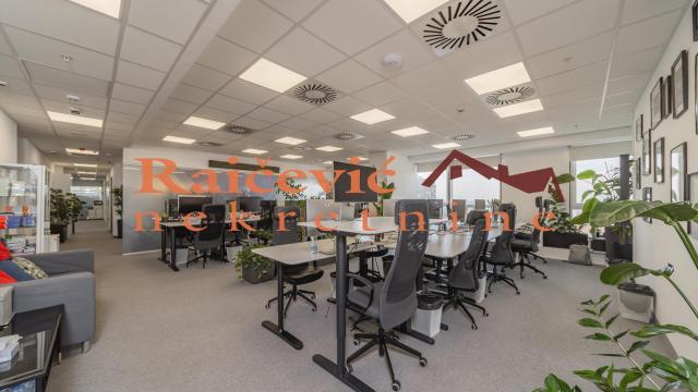 Poslovni prostor, Izdavanje, 289m2, Centar, Palilula, Starine Novaka