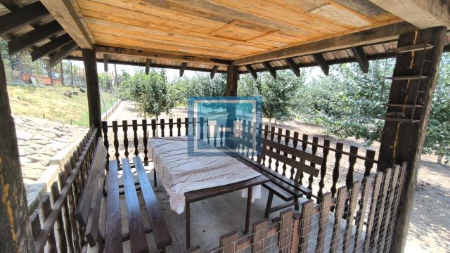 Kuća, Prodaja, 250m2, Železnička stanica, Novi Sad, Novi Sad